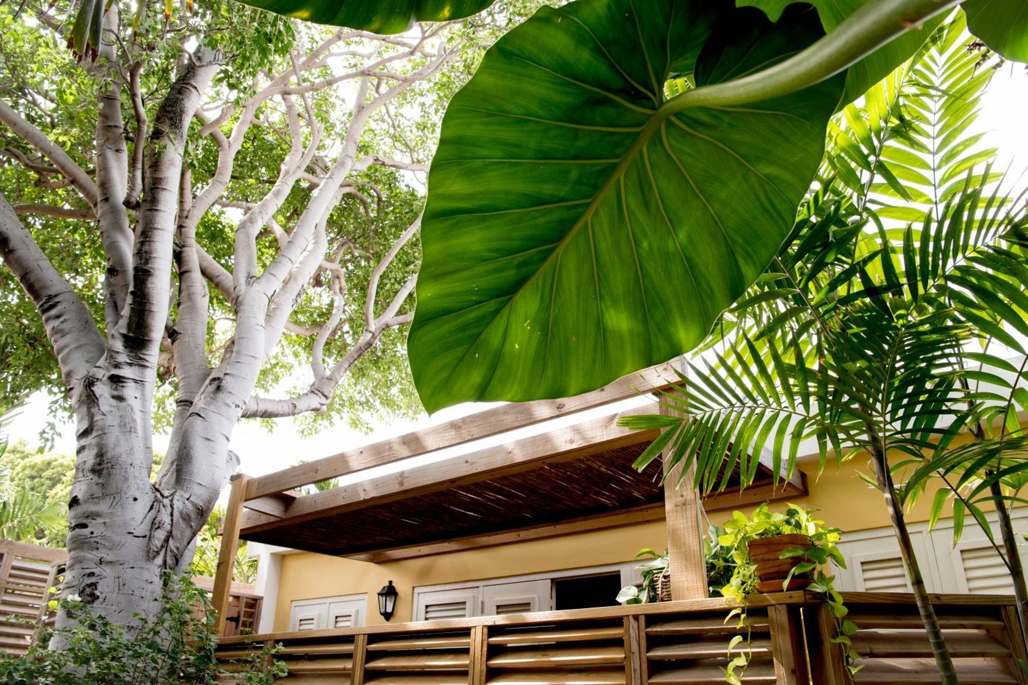 Ferienwohnung Curacao Gardens Willemstad Zimmer foto